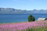Stokmarknes, Norwegen
