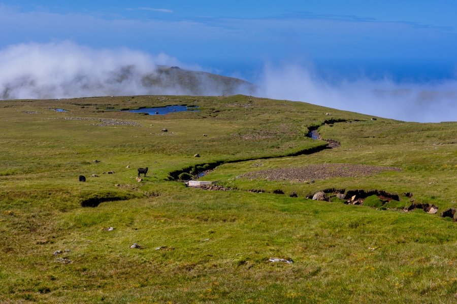 Arctic from Belfast, Northern Ireland, United Kingdom with the Seabourn Venture