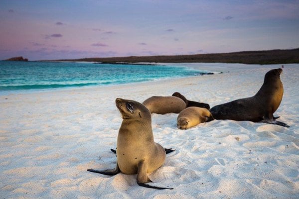 Santa Cruz Island, Galapagos