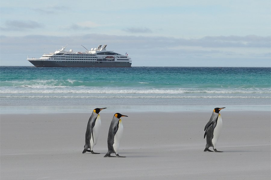 L'Austral