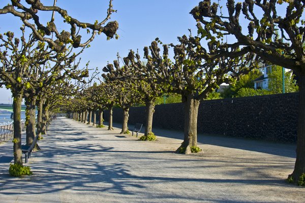 Bonn, Deutschland