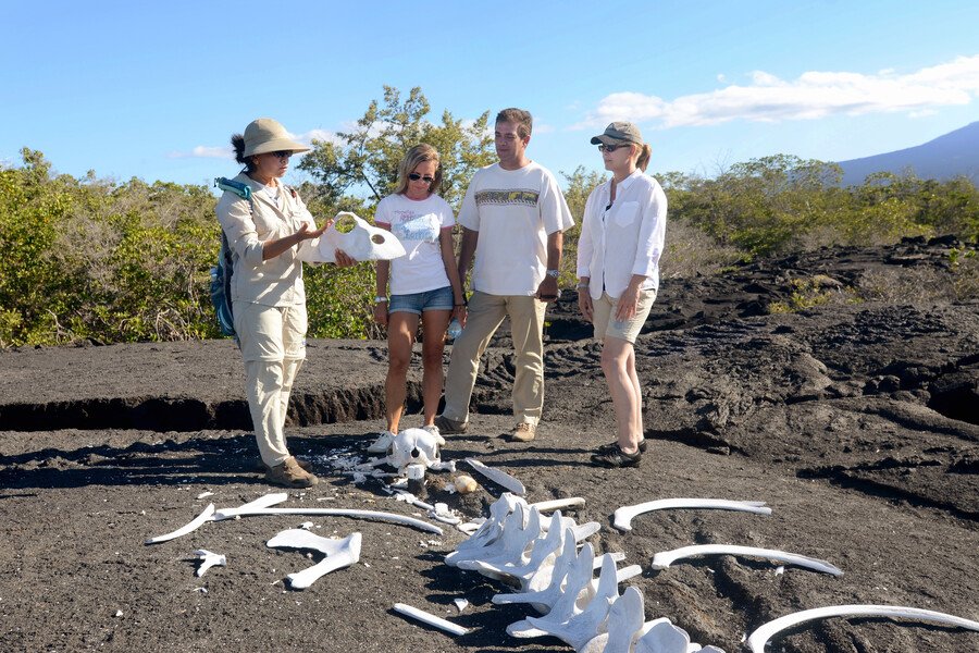 Galapagos-Inseln ab Baltra, Galapagosinseln auf der Celebrity Flora