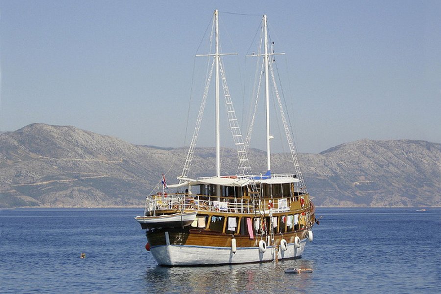 MS Aneta
