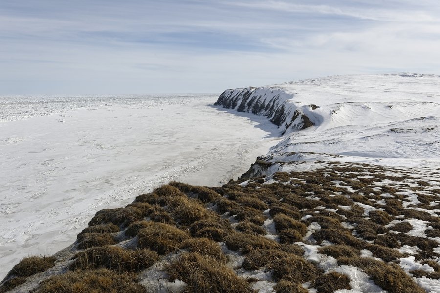 Arktis ab Nome, Alaska auf der MS Roald Amundsen