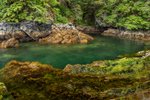 Insel Chichagof (Tschitschagow), Alaska