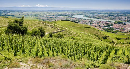 Rhône ab Lyon, Frankreich auf der A-ROSA STELLA