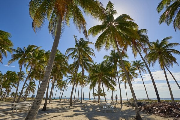 Half Moon Cay (Little San Salvador), Bahamas