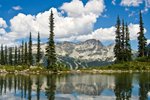 Whistler