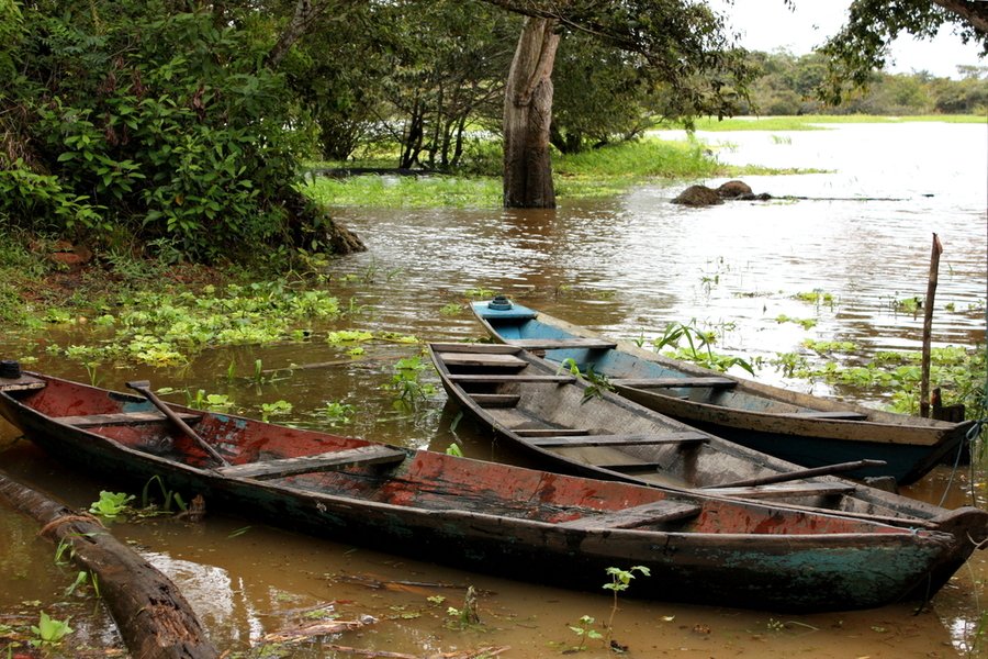 Amazonas ab Miami auf der Seven Seas Mariner