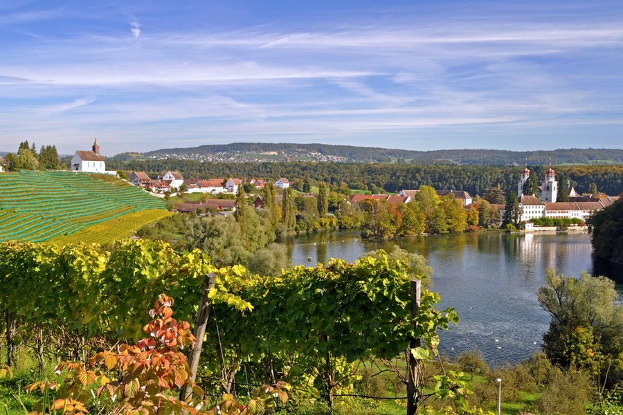 Donau ab Linz, Österreich auf der MS France (CroisiEurope)