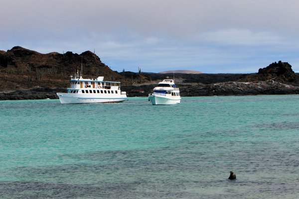 Sullivan Bay (Santiago), Galapagos Eilanden