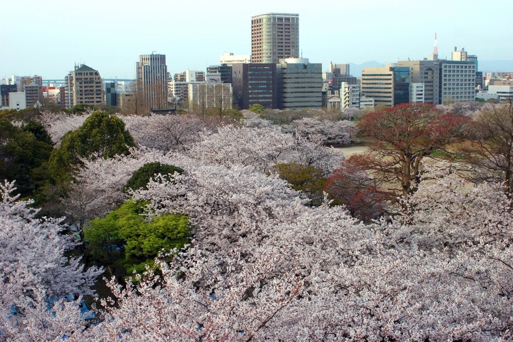 Japan from Tokyo, Japan with the Silver Muse