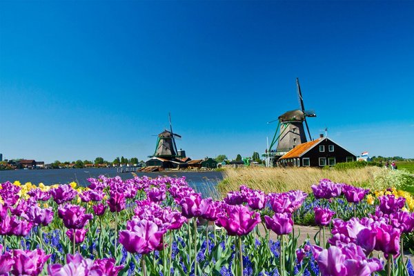 Kinderdijk, Netherlands