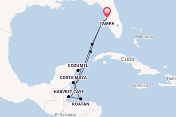 Westelijke Caraïben vanaf Tampa, Verenigde Staten met de Norwegian Dawn