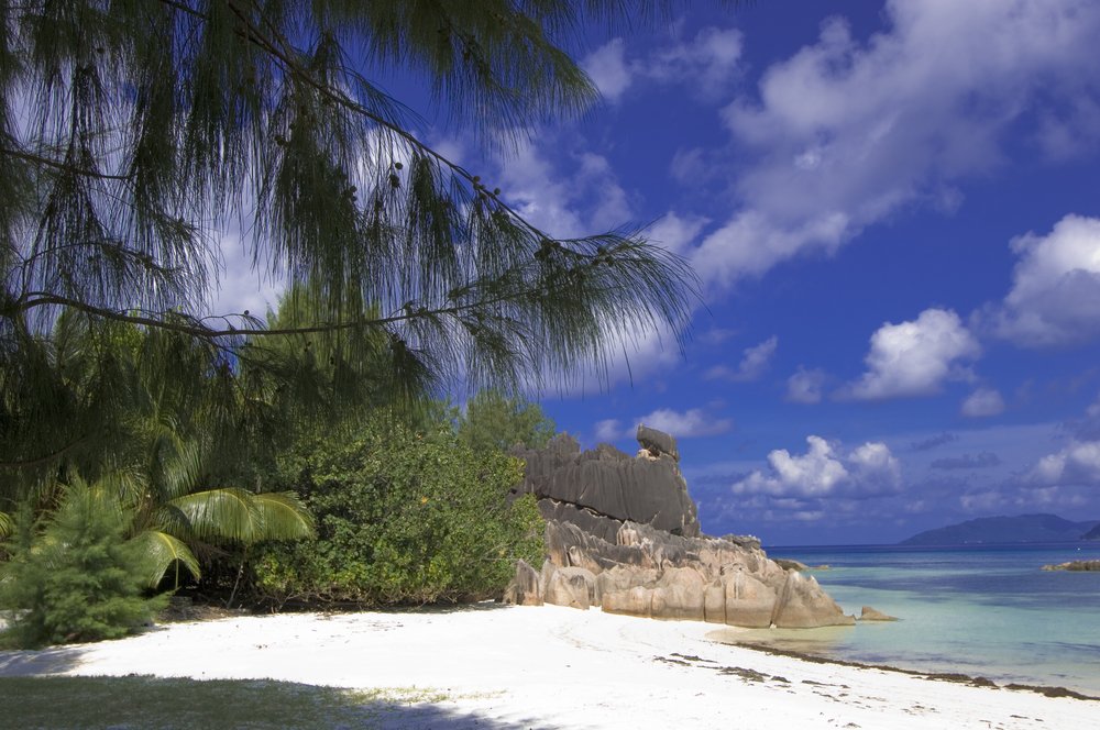 Afrika ab Victoria, Seychellen auf der HANSEATIC nature