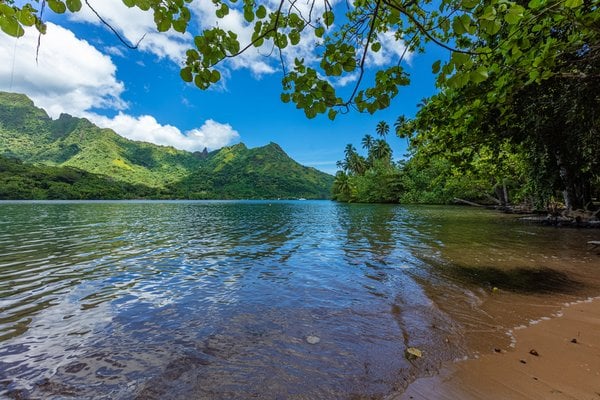 Opunohu Bay, Moorea,