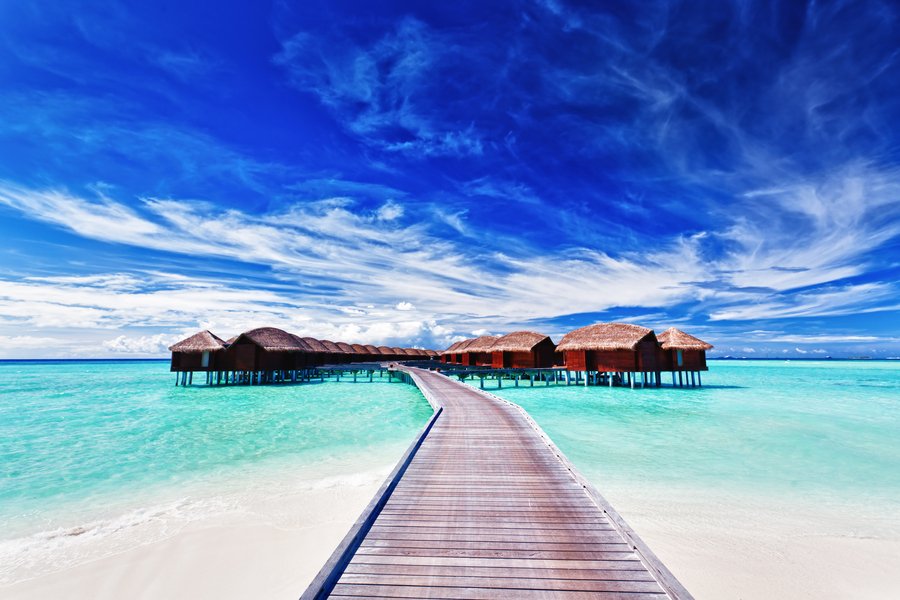 Cruise1st Package