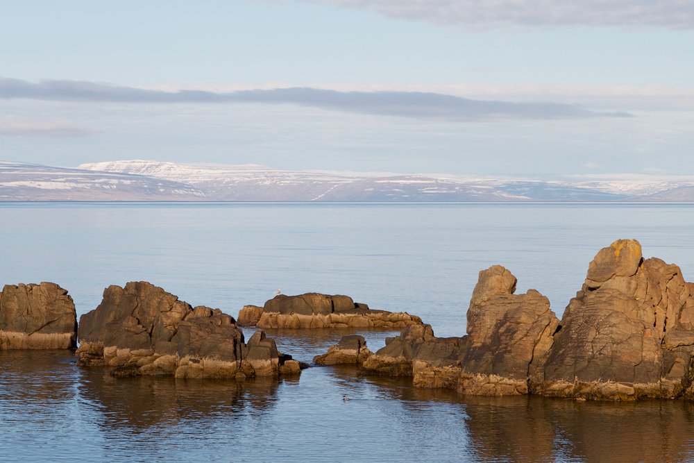 Arctica vanaf Kiel, Duitsland met de VASCO DA GAMA