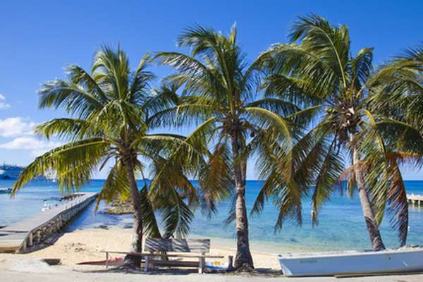 Grand Cayman, Kaaimaneilanden