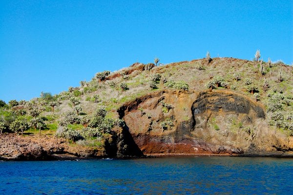 Champion Insel, Galapagosinseln