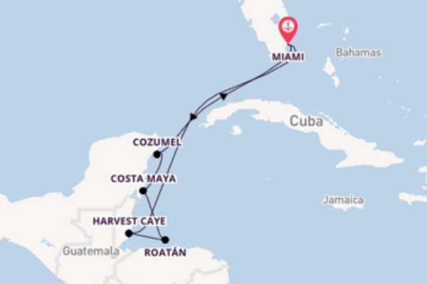 Cruise met Norwegian Cruise Line naar het pittoreske Miami