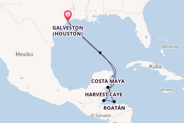Westliche Karibik ab Galveston (Houston), USA auf der Norwegian Viva