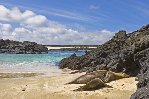 San Cristobal Island, Galapagos Eilanden, Ecuador