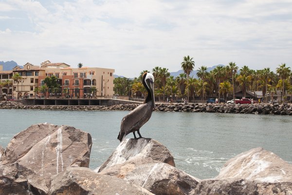 Loreto, Mexico