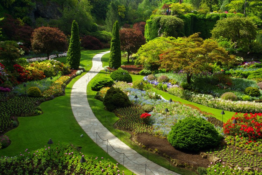 Vancouver & Whale Watching Tour with Luxury West Coast Wonders & Cruising with Derek