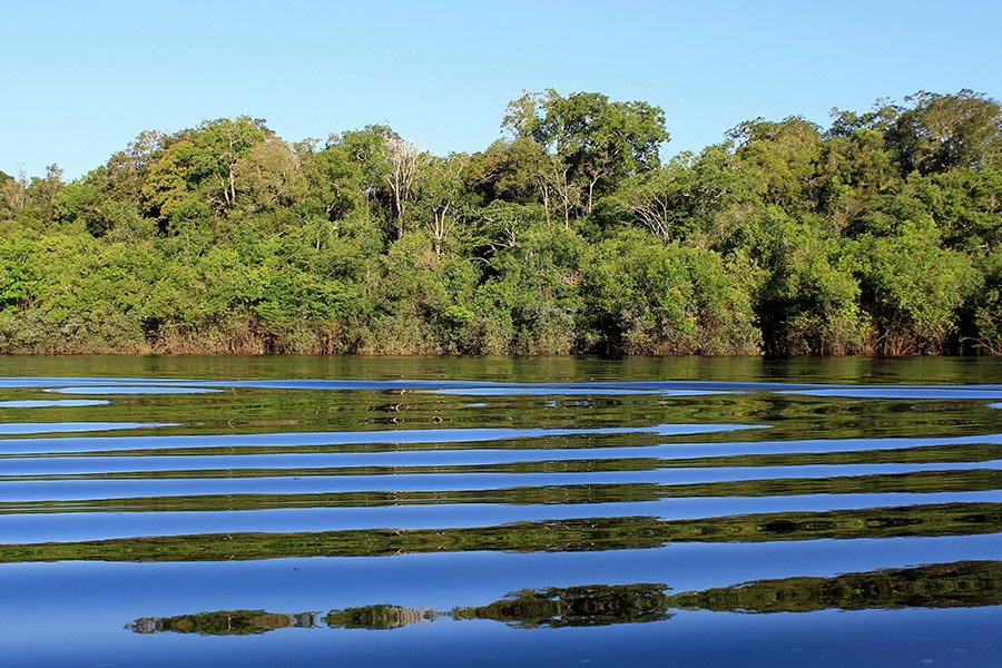 Amazonas ab Manaus, Brasilien auf der Amazon Clipper Premium