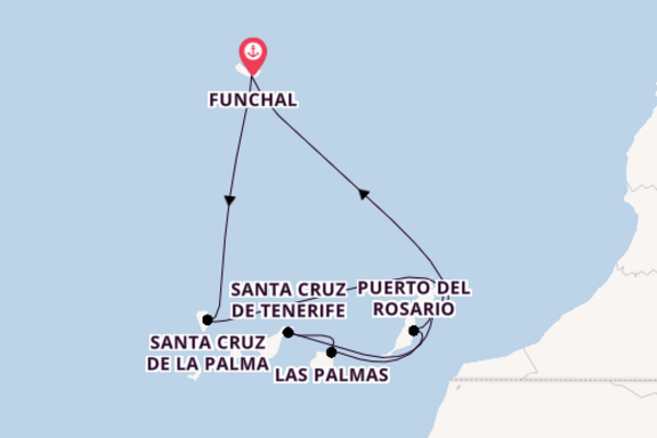 Entdecken Sie Santa Cruz de Tenerife ab Funchal