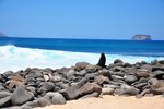 Punta Moreno (Isabela), Galapagos Islands