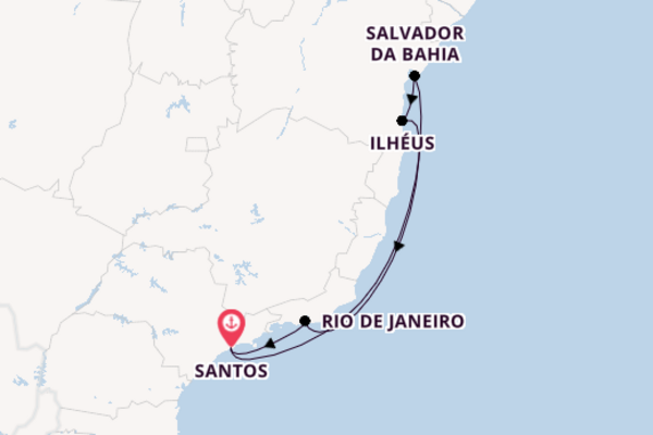 Brazil from Santos (São Paulo) with the MSC Seaview