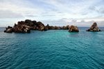 Mangle Point (Fernandina), Galapagosinseln