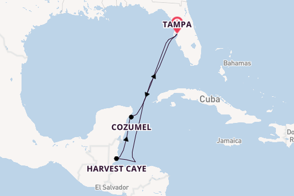 Westelijke Caraïben vanaf Tampa, Verenigde Staten met de Norwegian Gem