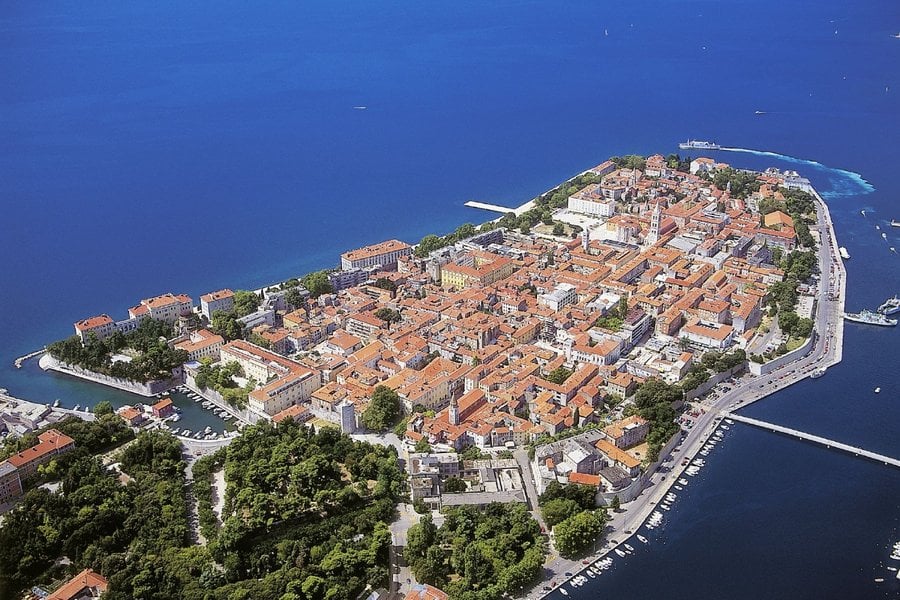 Dalmatino