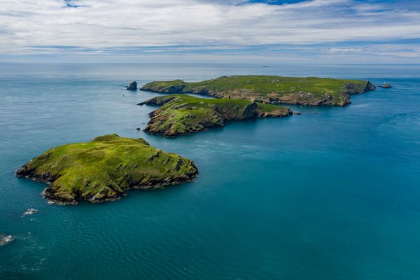 Skomer Island, , Verenigd Koninkrijk