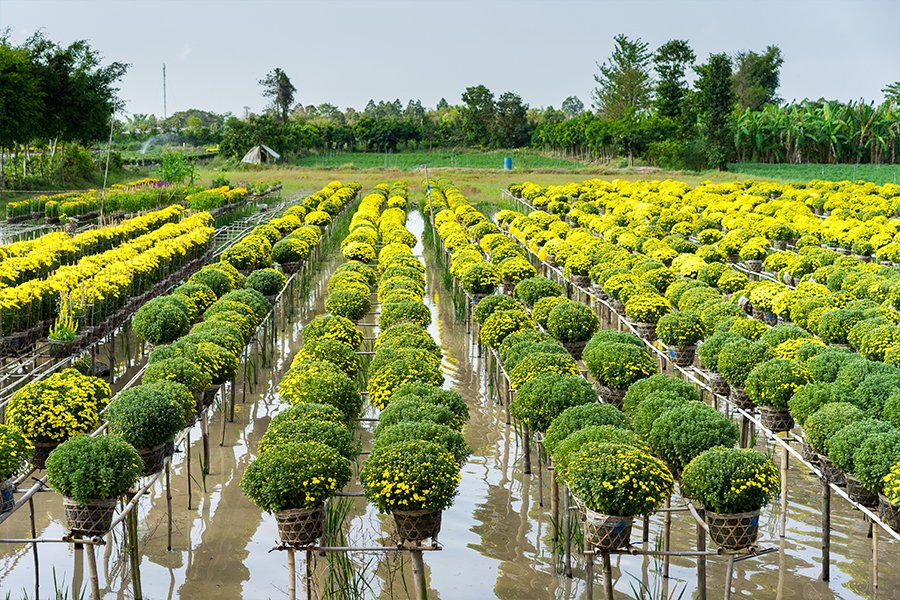 South East Asia from Ho Chi Minh City, Vietnam with the Scenic Spirit
