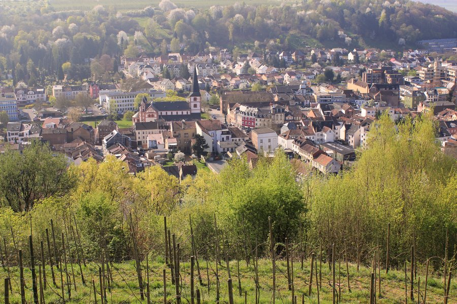 Mosel ab Köln, Deutschland auf der KATHARINA VON BORA