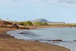 Cormorant Point (Florena), Galapagosinseln