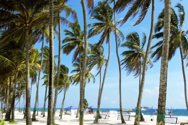 san andres