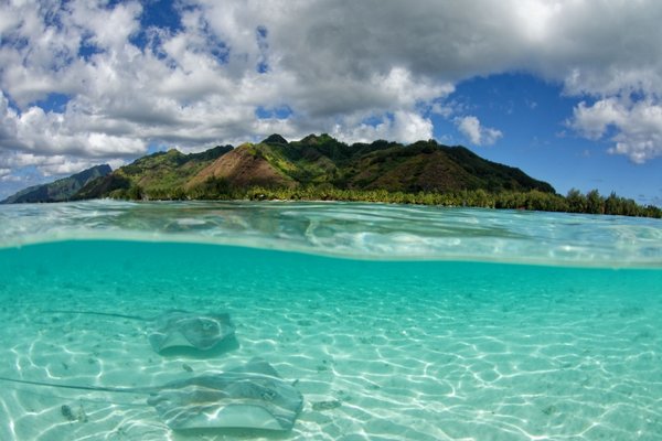 Moorea, Frans Polynesië