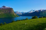 Scenic cruising Romsdalsfjord