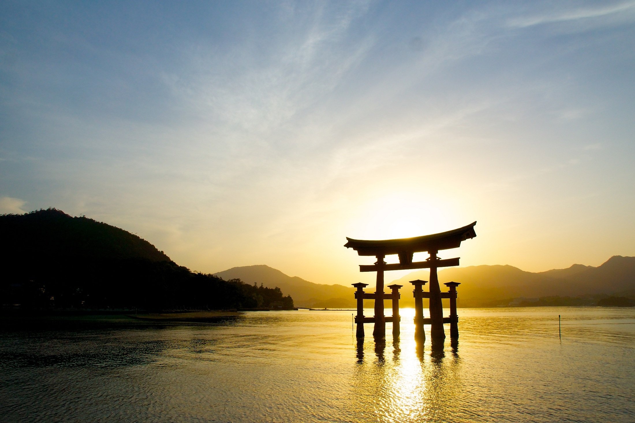 Japan Intensive – Sakura & Neon Skylines