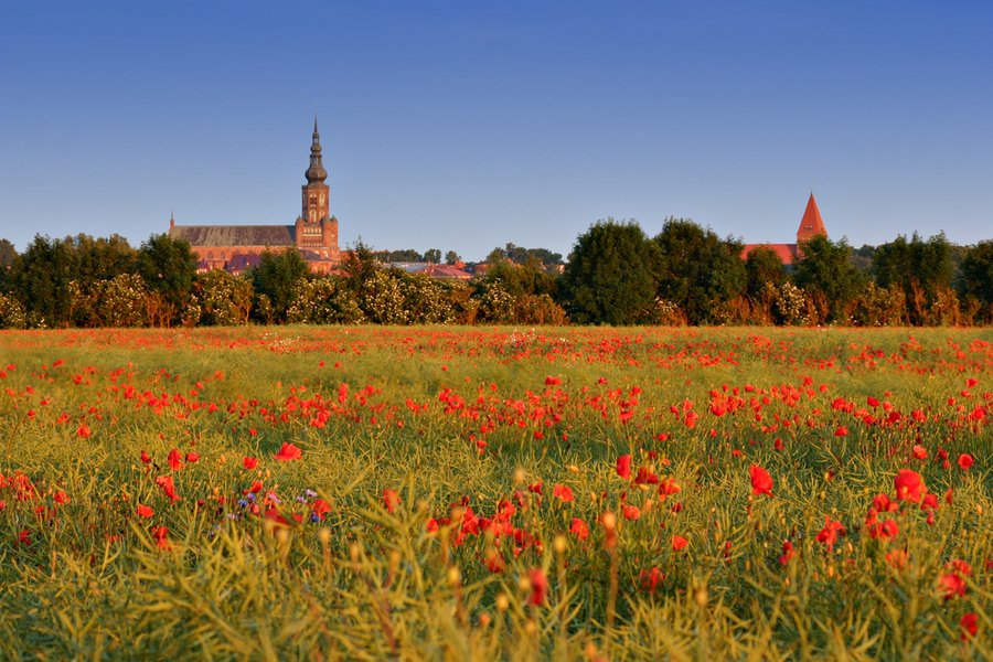 Oder ab Stralsund, Deutschland auf der MS Sans Souci