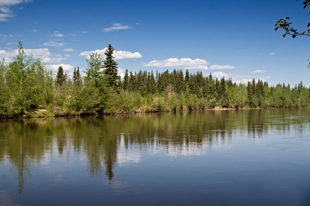 Luxury Alaskan Glaciers and Majestic Tundra Explorer