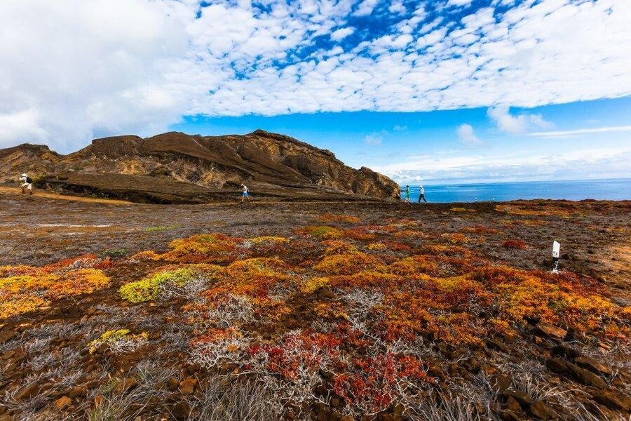 Galapagos-Inseln ab Baltra, Galapagosinseln auf der Celebrity Flora