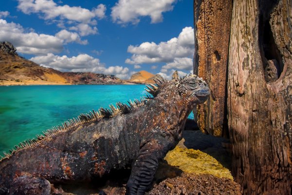 Daphne Island, Galapagos Islands, Ecuador