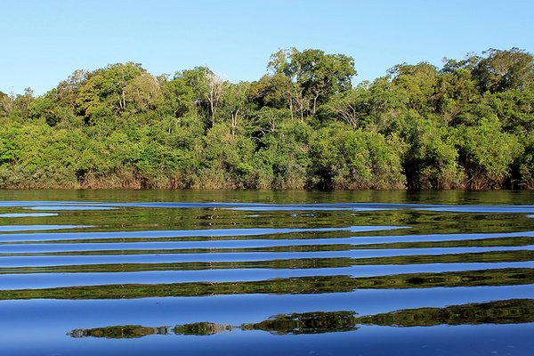 Rio Carabinani,Brazilië