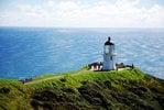 Foveaux Strait, New Zealand